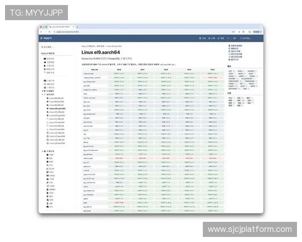 最新2024年最受欢迎的PG网站推荐排行榜，满足不同用户的多样化需求